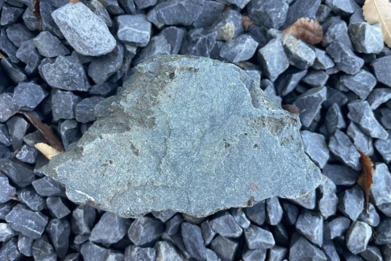 揖斐川石 酒絞石［4］【一点もの】水石・盆石｜庭ガーデニングの粋で