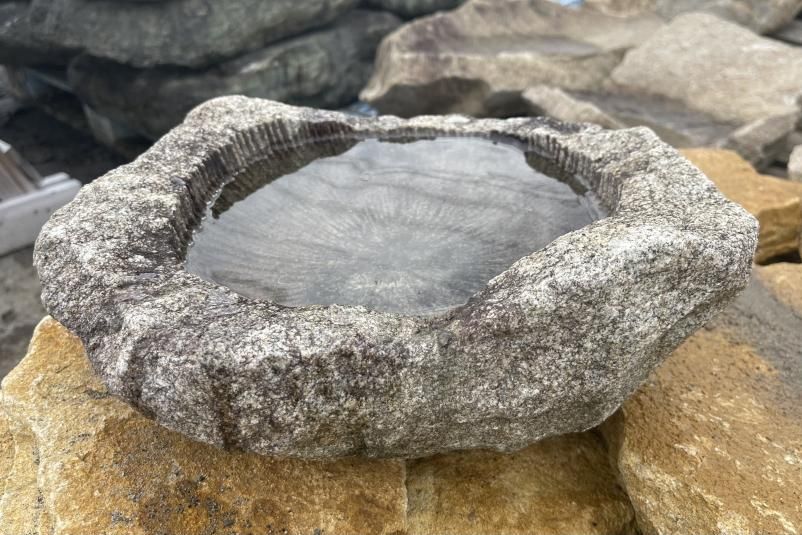 183084320.jpg?cmsp_timestamp=