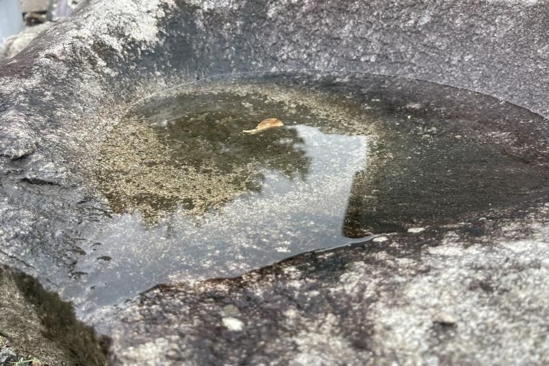 自然石 水鉢 茶色 不規則形状【shirosyrup】 自然石 水鉢 茶色 不規則形状【shirosyrup】 自然石 水鉢 茶色