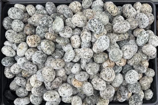 まんまる石 40-50mm＜価格,サイズ,色＞｜庭ガーデニングの粋で