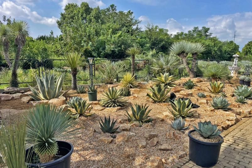 ゼウスロック（新みかも石）300-400mm｜庭ガーデニングの粋で