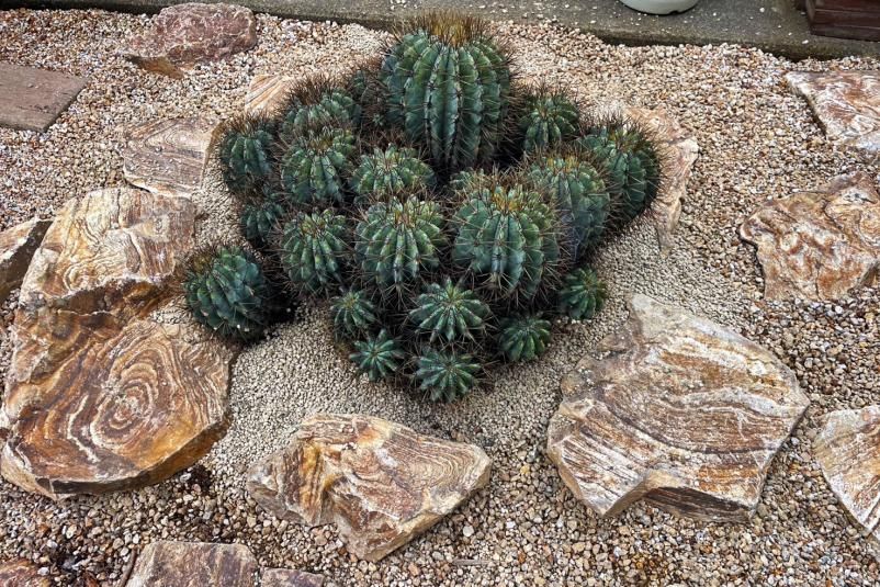 天然石 海 石 植物の跡あり アンティーク 天然石 海 石 植物の跡あり アンティーク 楽天市場】天然石をくり抜い