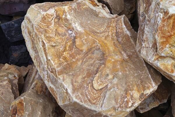 プリマス・ロックの孫みたいな石 プリマス・ロックの孫みたいな石 プリマス・ロックの孫みたいな