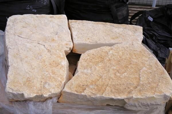 ܾ쥤ꥢ ȥ˥ȡ  600mm ץ 1