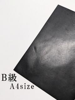 20cm30cm  ̥ Хå ֥å åȥ쥶 A4 A/B