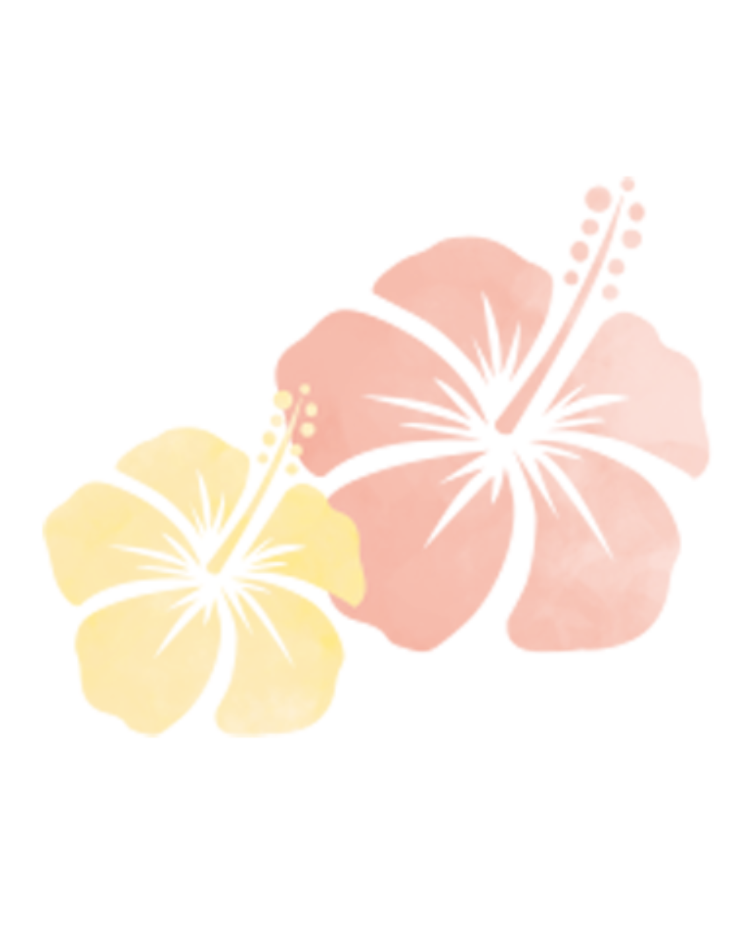 ハイビスカス