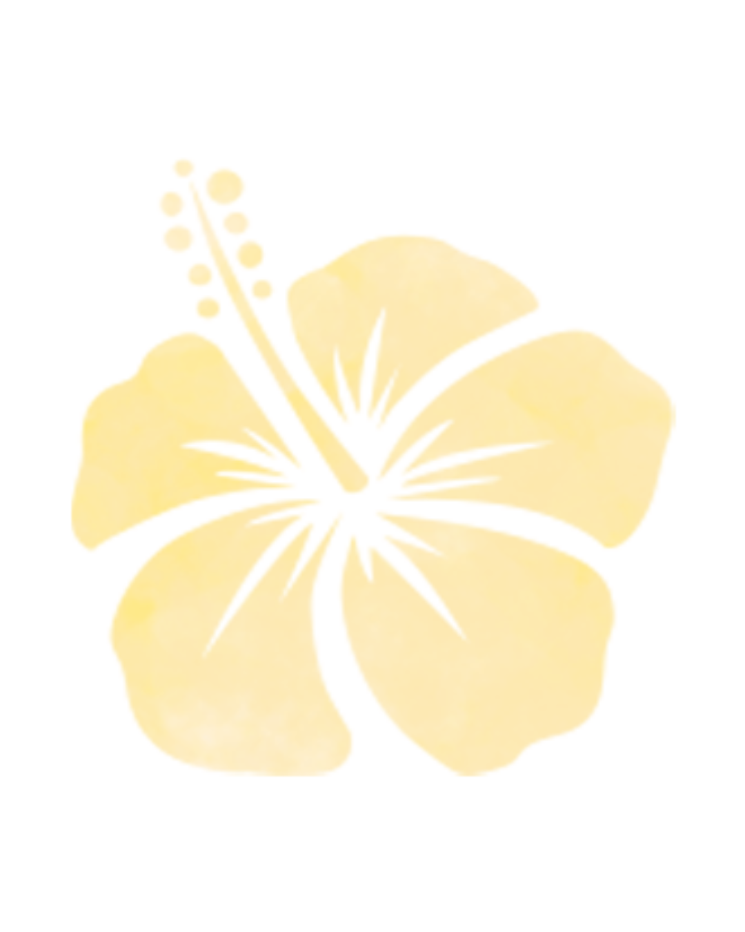 ハイビスカス2