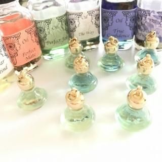 Ф줷ԤؤΥץ쥼ȥܥȥ륷꡼ʬ餷Ż򤷤ʤء