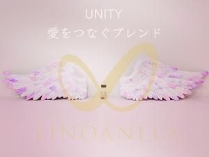 UNITY Ĥʤ֥ɡ