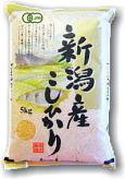 有機JASコシヒカリ　自然栽培玄米　５ｋｇ