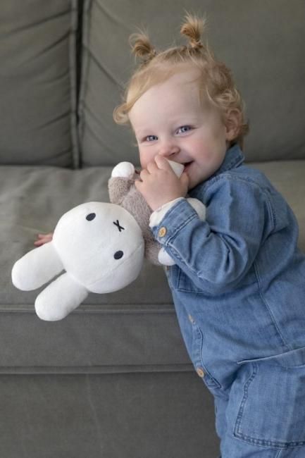 25~35cm ぬいぐるみ 「ふわっふわミッフィー」 くすみグレー - nijntje