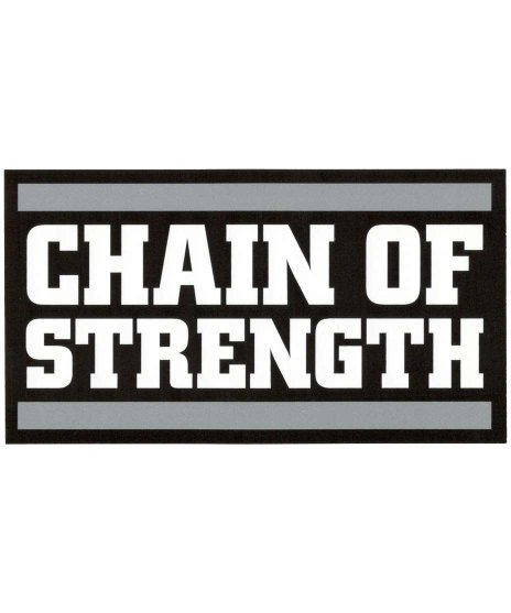 Chain Of Strength/オフィシャルステッカー/バンドロゴ/ブラック カラー：グレー・ブラック<br>サイズ：12.7x7cm<br>グレートブラックベースのロゴステッカー