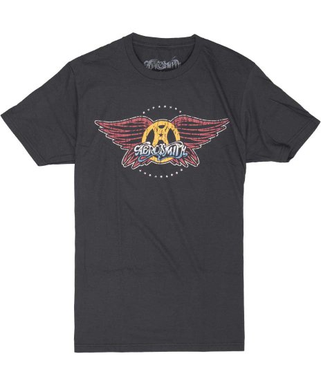 Aerosmith/オフィシャルバンドTシャツ/ダーメージ ウイング ロゴ<ul><li>カラー： チャコール</li><li>サイズ：M,L</li><li>ウイングロゴデザインTシャツ</li></ul>