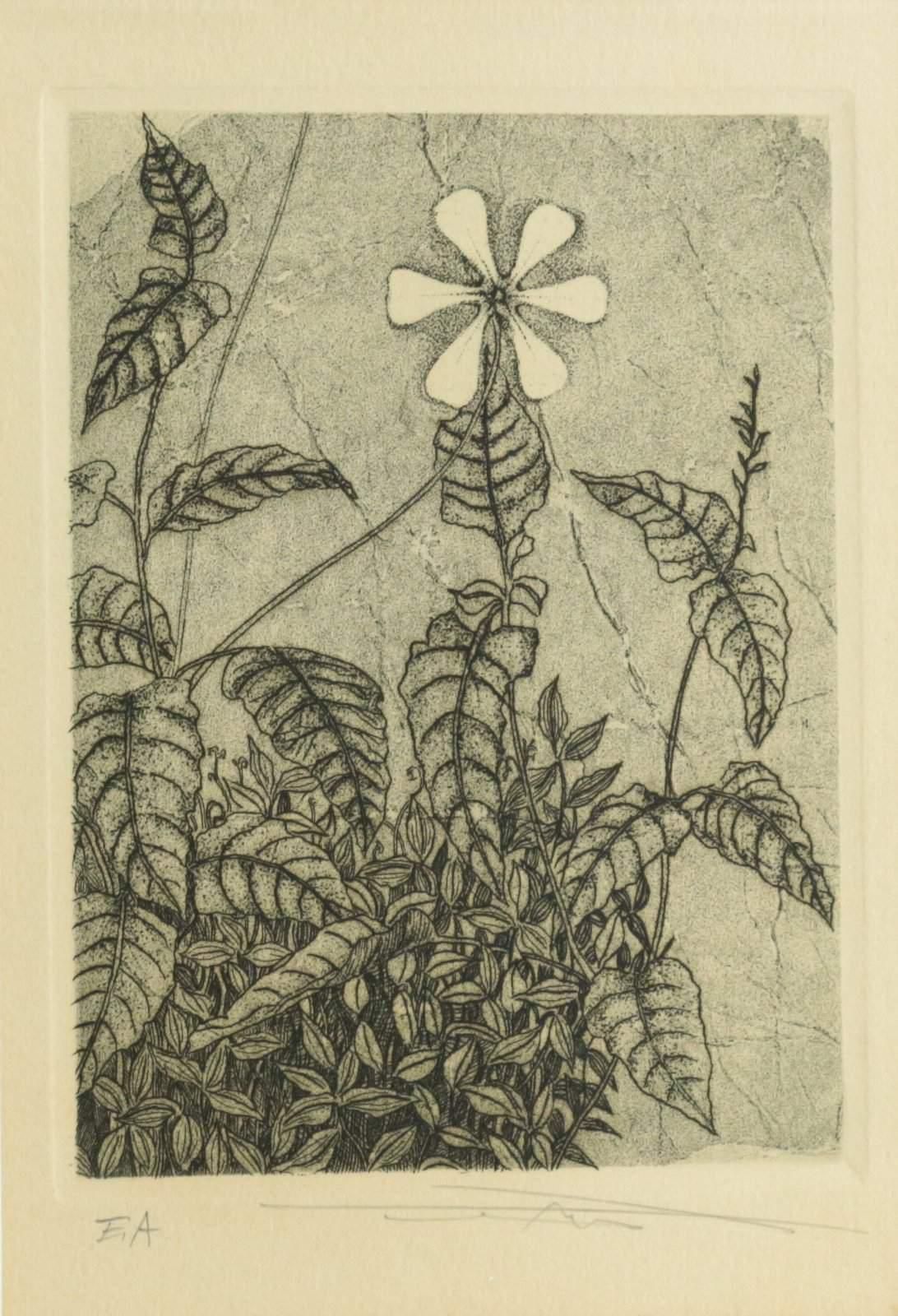 銅版画 : VIEW - Tree 馬場章 版画