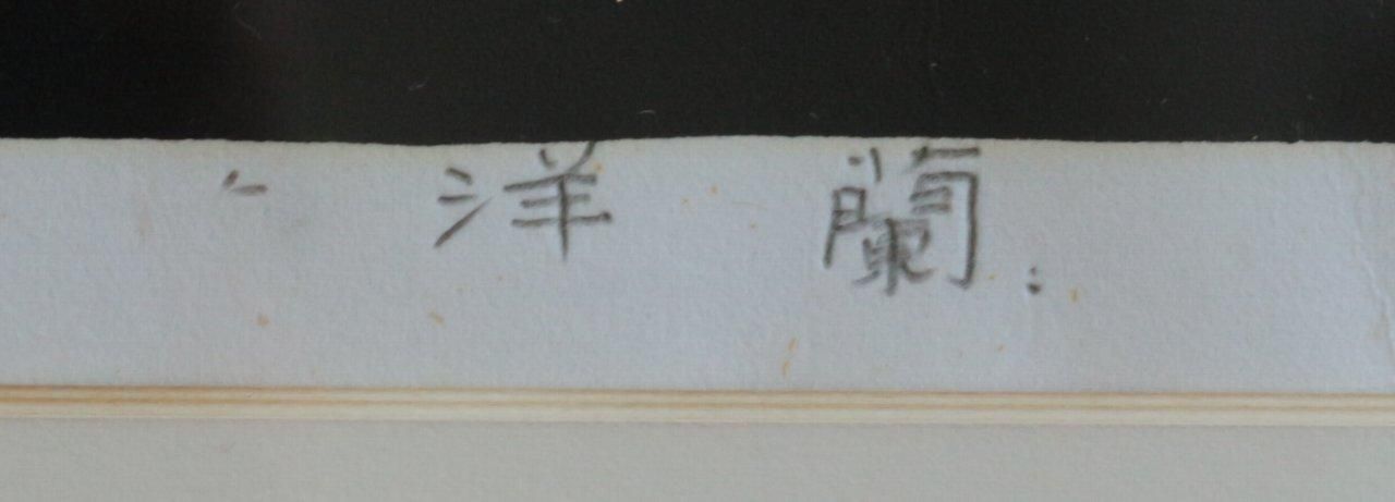 木版画 高木志朗 洋蘭 商品番号283- 絵のある暮らし・絵になる