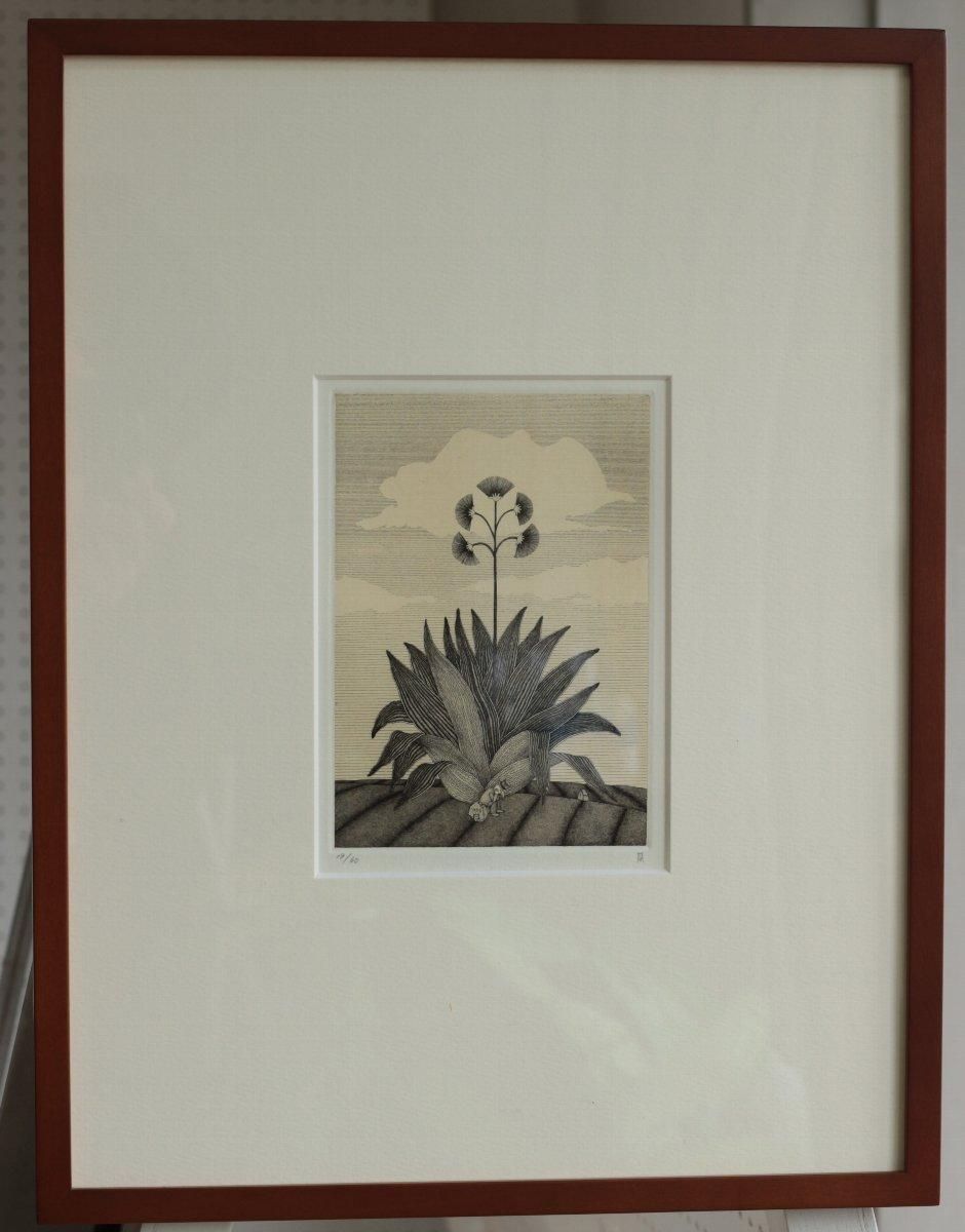 銅版画 松崎滋 銅版画集《夢草花図》から作品番号4 商品番号