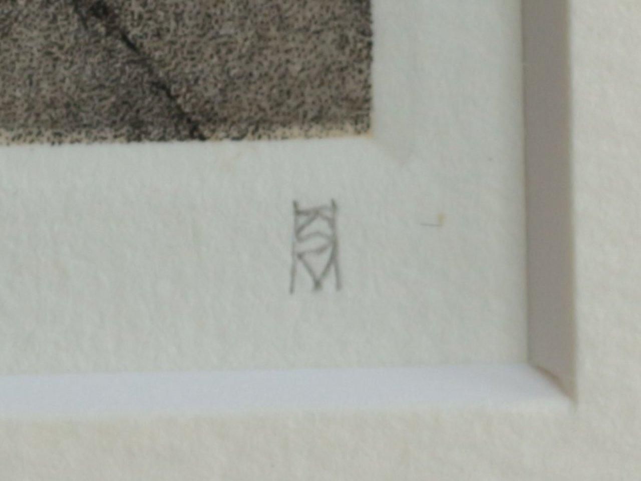 銅版画 松崎滋 銅版画集《夢草花図》から作品番号7 商品番号