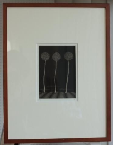銅版画松崎滋 銅版画 松崎滋 銅版画集《夢草花図》から作品番号1 商品番号