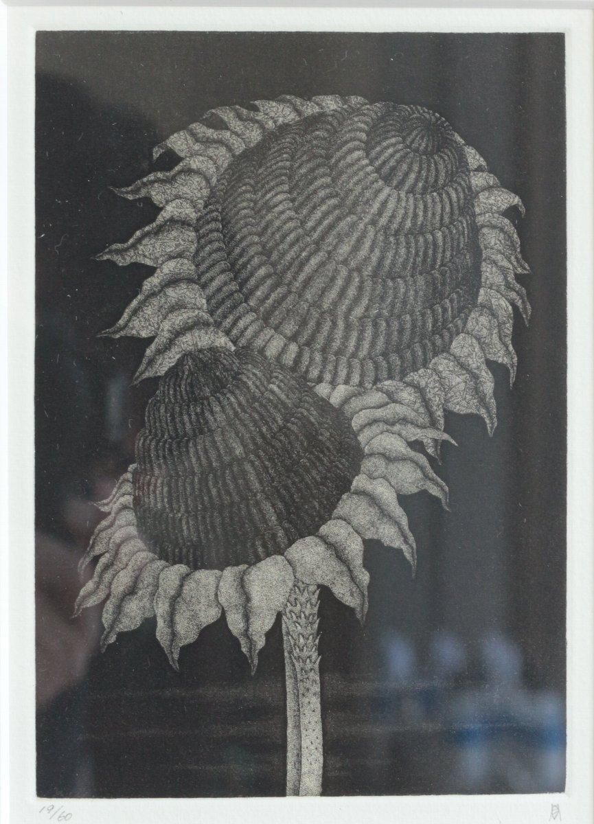 銅版画松崎滋 銅版画 松崎滋 銅版画集《夢草花図》から作品番号1 商品番号