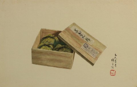 茶巾寿司／中田みずほ (日本画)