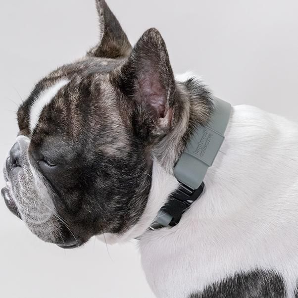  WATERPROOF DOG COLLAR AVA