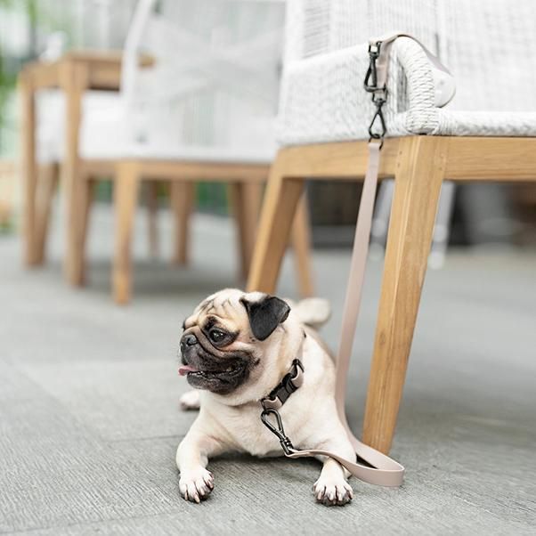 ハーネス ウォータープルーフ HARNESS Lambwolf ラムウルフ Lambwolf Collective】OTTO DOG HARNESS （ラムウルフ