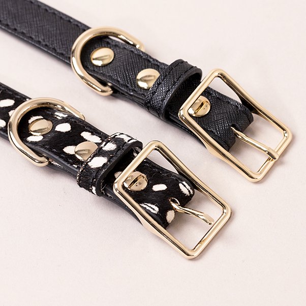 <img class='new_mark_img1' src='https://img.shop-pro.jp/img/new/icons20.gif' style='border:none;display:inline;margin:0px;padding:0px;width:auto;' />Dot Leather Lead and Collar