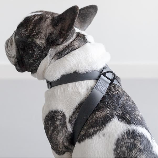 Lambwolf Collective】OTTO DOG HARNESS （ラムウルフ