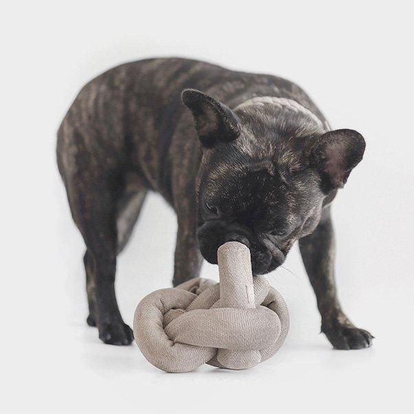 The perfect toy NOU NOU