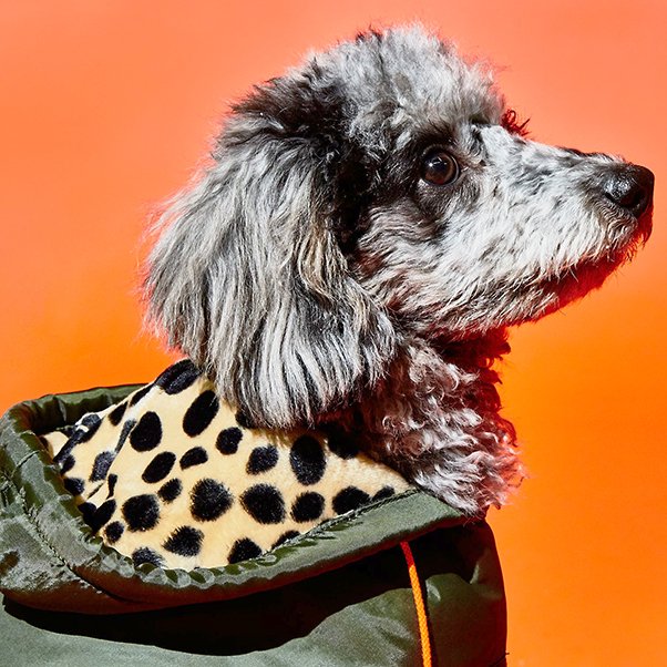 <img class='new_mark_img1' src='https://img.shop-pro.jp/img/new/icons20.gif' style='border:none;display:inline;margin:0px;padding:0px;width:auto;' />Olive Animal Puffer Jacket