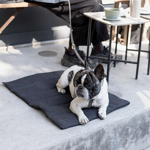 Travel Mat and Leather Strap