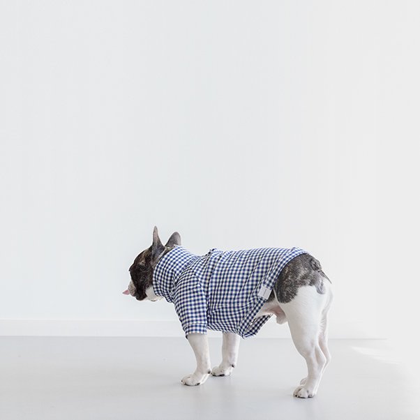 <img class='new_mark_img1' src='https://img.shop-pro.jp/img/new/icons20.gif' style='border:none;display:inline;margin:0px;padding:0px;width:auto;' />GINGHAM PULLOVER NAVY