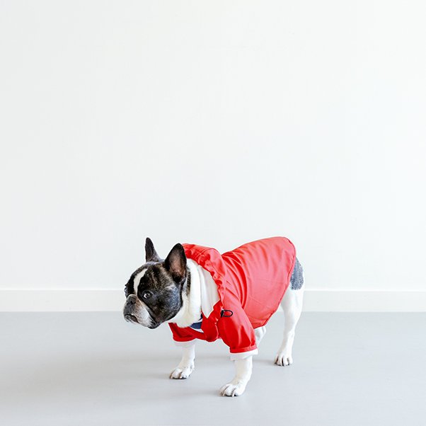 <img class='new_mark_img1' src='https://img.shop-pro.jp/img/new/icons20.gif' style='border:none;display:inline;margin:0px;padding:0px;width:auto;' />DOG RAINCOAT RED