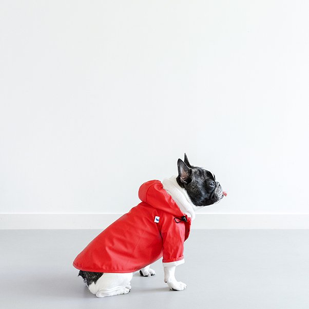 <img class='new_mark_img1' src='https://img.shop-pro.jp/img/new/icons20.gif' style='border:none;display:inline;margin:0px;padding:0px;width:auto;' />DOG RAINCOAT RED