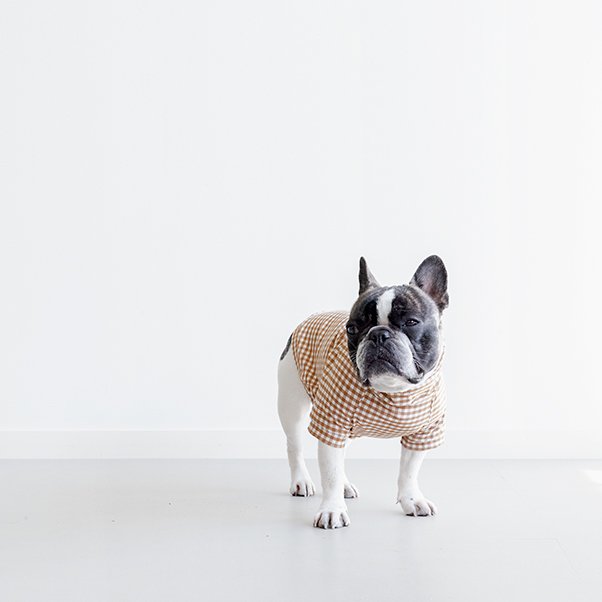 <img class='new_mark_img1' src='https://img.shop-pro.jp/img/new/icons20.gif' style='border:none;display:inline;margin:0px;padding:0px;width:auto;' />GINGHAM PULLOVER CAMEL