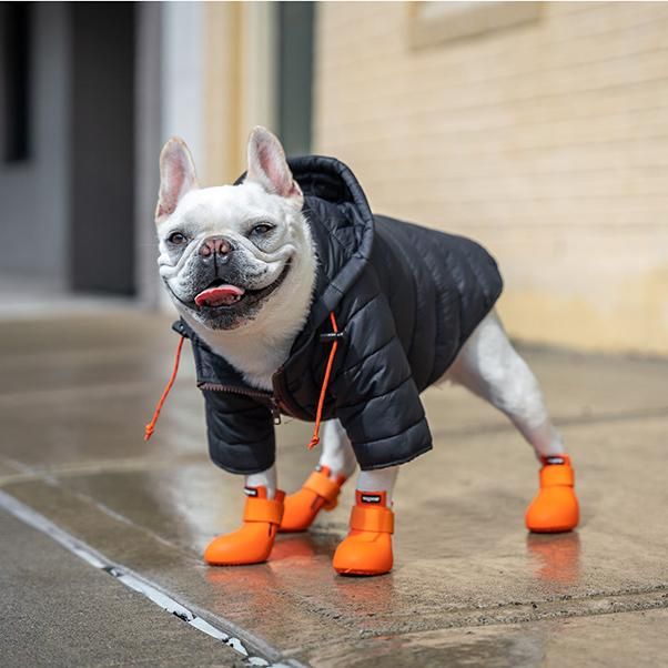 <img class='new_mark_img1' src='https://img.shop-pro.jp/img/new/icons20.gif' style='border:none;display:inline;margin:0px;padding:0px;width:auto;' />Puffer Jacket RED