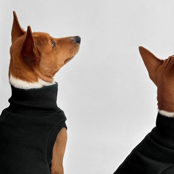 Turtleneck sweatshirtFrenchie