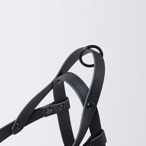 Norwegian harness abu edition