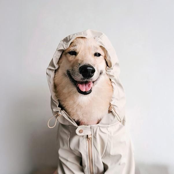 Water Resistant Coat BRIGHTON<img class='new_mark_img2' src='https://img.shop-pro.jp/img/new/icons1.gif' style='border:none;display:inline;margin:0px;padding:0px;width:auto;' />