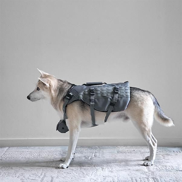 <img class='new_mark_img1' src='https://img.shop-pro.jp/img/new/icons5.gif' style='border:none;display:inline;margin:0px;padding:0px;width:auto;' />TACTICAL FLOATING DEVICE for DOG