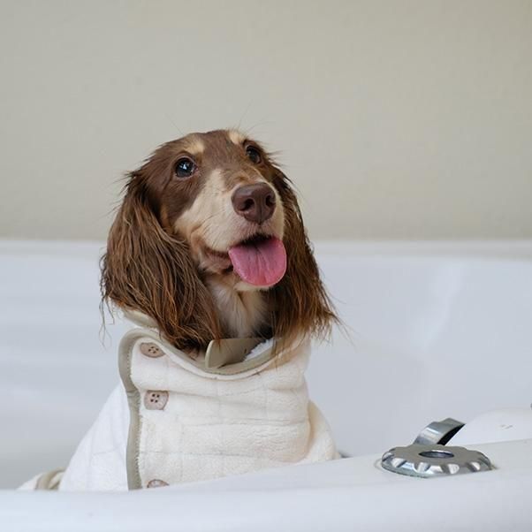 <img class='new_mark_img1' src='https://img.shop-pro.jp/img/new/icons5.gif' style='border:none;display:inline;margin:0px;padding:0px;width:auto;' />BABY FLEECE BATHROBE