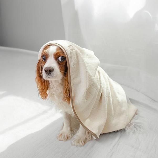 <img class='new_mark_img1' src='https://img.shop-pro.jp/img/new/icons5.gif' style='border:none;display:inline;margin:0px;padding:0px;width:auto;' />BABY FLEECE TOWEL
