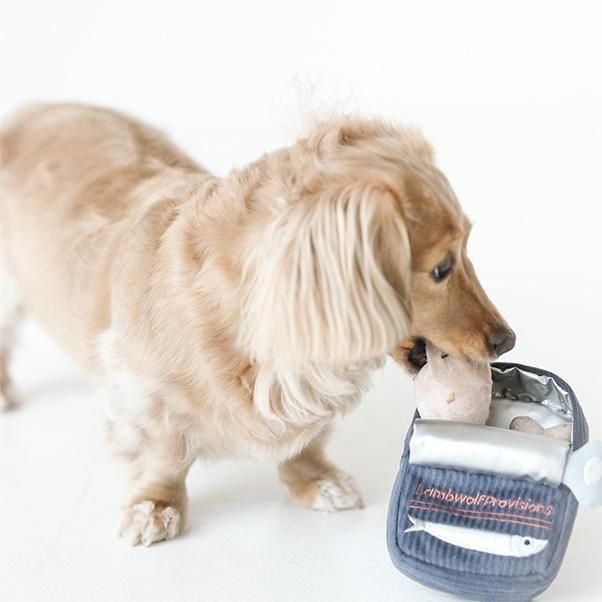 <img class='new_mark_img1' src='https://img.shop-pro.jp/img/new/icons1.gif' style='border:none;display:inline;margin:0px;padding:0px;width:auto;' />SARDINES