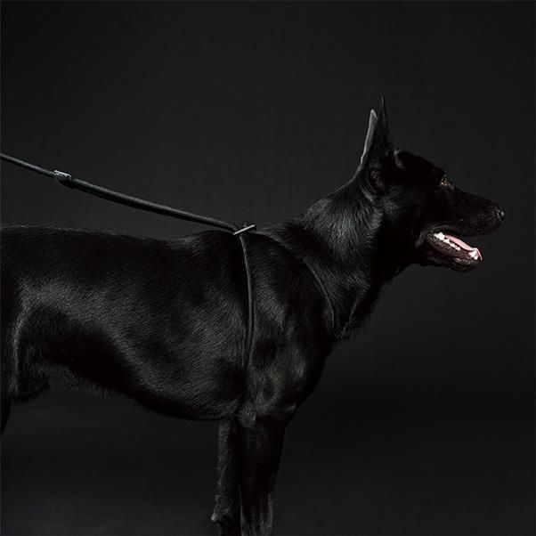 Boo'oh】Ray Harness (ブーオー・レイハーネス) オールインワン