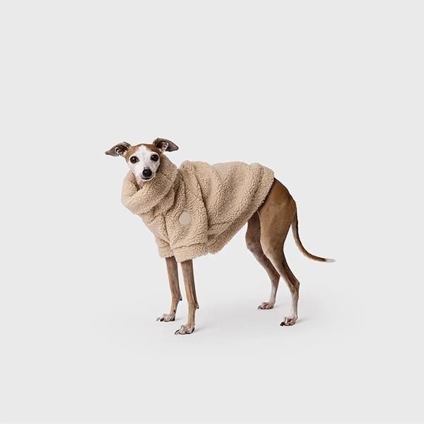 <img class='new_mark_img1' src='https://img.shop-pro.jp/img/new/icons1.gif' style='border:none;display:inline;margin:0px;padding:0px;width:auto;' />TEDDY PULLOVER-FAWN