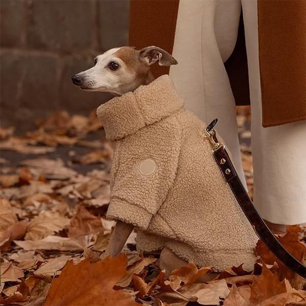 <img class='new_mark_img1' src='https://img.shop-pro.jp/img/new/icons1.gif' style='border:none;display:inline;margin:0px;padding:0px;width:auto;' />TEDDY PULLOVER-FAWN