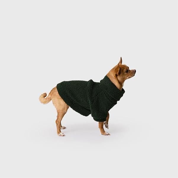 <img class='new_mark_img1' src='https://img.shop-pro.jp/img/new/icons1.gif' style='border:none;display:inline;margin:0px;padding:0px;width:auto;' />TEDDY PULLOVER-FOREST