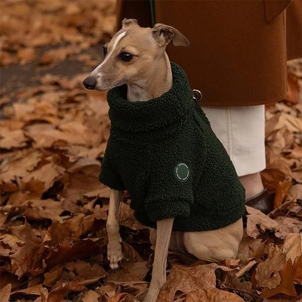 <img class='new_mark_img1' src='https://img.shop-pro.jp/img/new/icons1.gif' style='border:none;display:inline;margin:0px;padding:0px;width:auto;' />TEDDY PULLOVER-FOREST