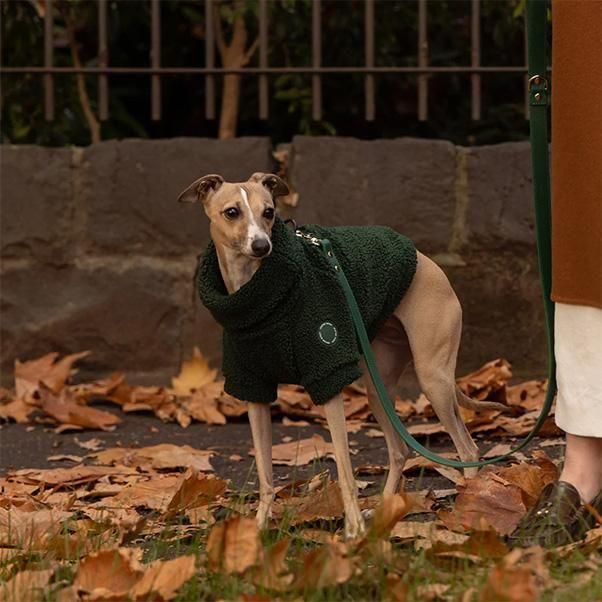 <img class='new_mark_img1' src='https://img.shop-pro.jp/img/new/icons1.gif' style='border:none;display:inline;margin:0px;padding:0px;width:auto;' />TEDDY PULLOVER-FOREST