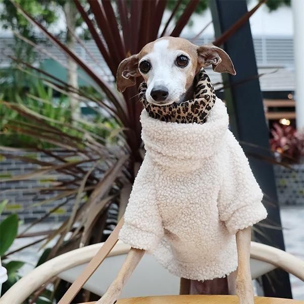 <img class='new_mark_img1' src='https://img.shop-pro.jp/img/new/icons1.gif' style='border:none;display:inline;margin:0px;padding:0px;width:auto;' />TEDDY PULLOVER-LAMBIE